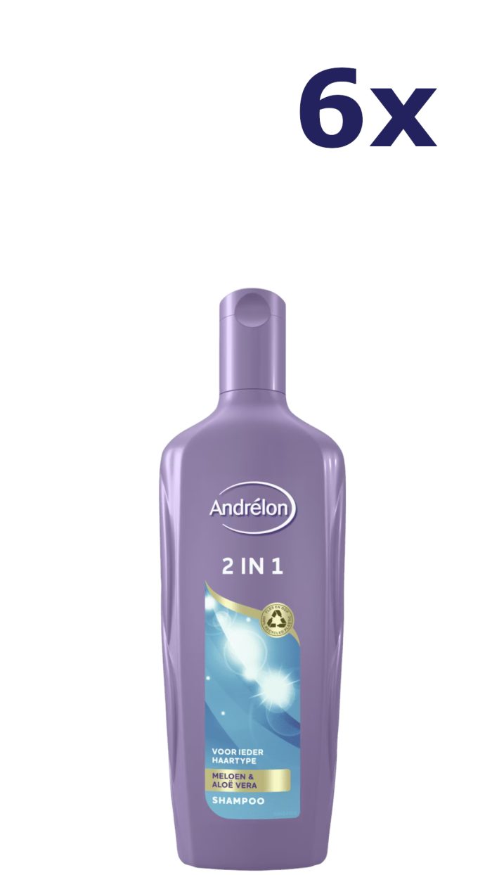 6x Andrelon Shampoo 300 ml 2 in 1